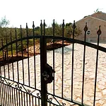 Vila New 2023 Tree Of Life Sveti Petar (Zadar)
