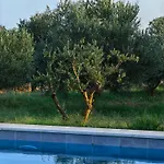 New 2023 Tree Of Life Vila *