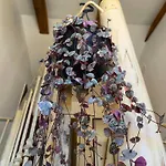Vila New 2023 Tree Of Life *