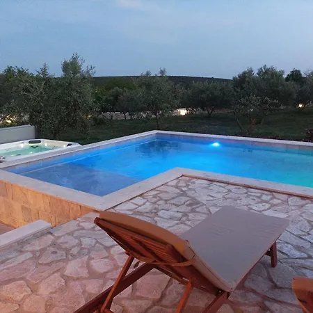 New 2023 Tree Of Life *