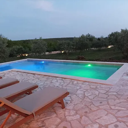 New 2023 Tree Of Life Villa