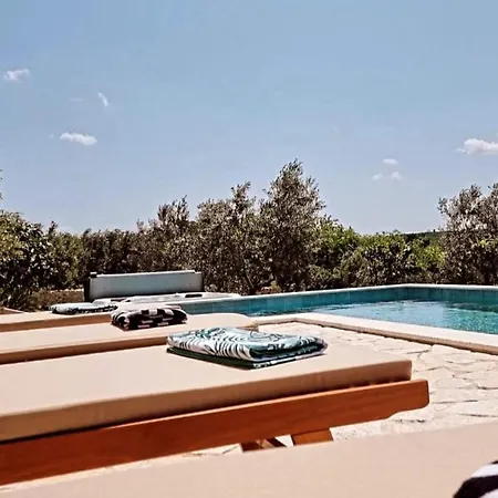 New 2023 Tree Of Life *