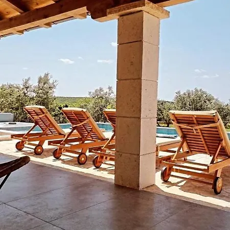 New 2023 Tree Of Life Sveti Petar (Zadar)