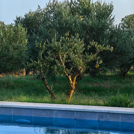 New 2023 Tree Of Life Villa *