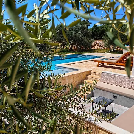 New 2023 Tree Of Life * 斯维蒂佩塔