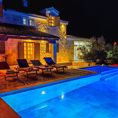 New 2023 Tree Of Life