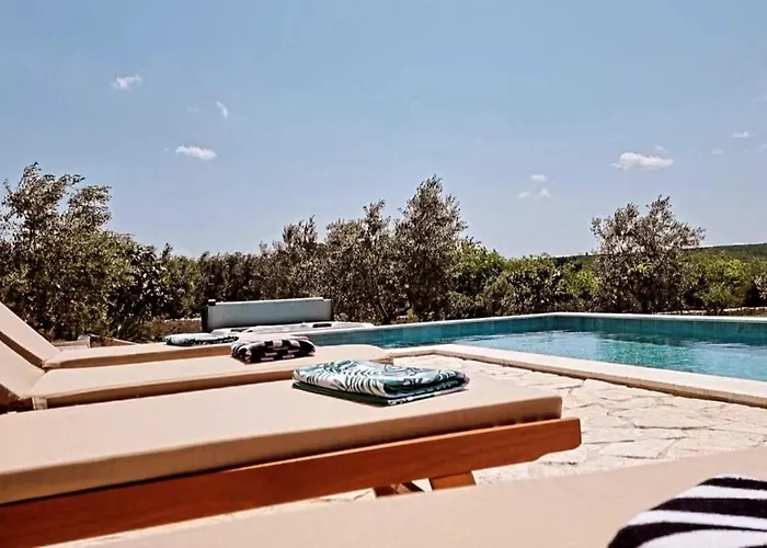 New 2023 Tree Of Life *