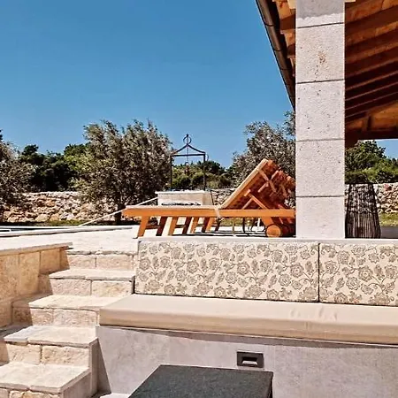 New 2023 Tree Of Life *