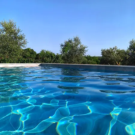 Villa New 2023 Tree Of Life Sveti Petar (Zadar)