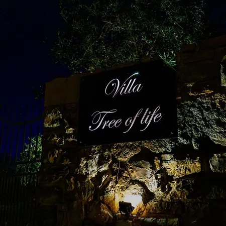 New 2023 Tree Of Life * Sveti Petar (Zadar)