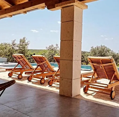 New 2023 Tree Of Life Sveti Petar (Zadar)