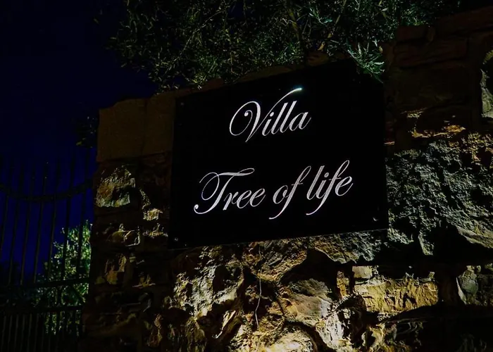 New 2023 Tree Of Life * Sveti Petar (Zadar)